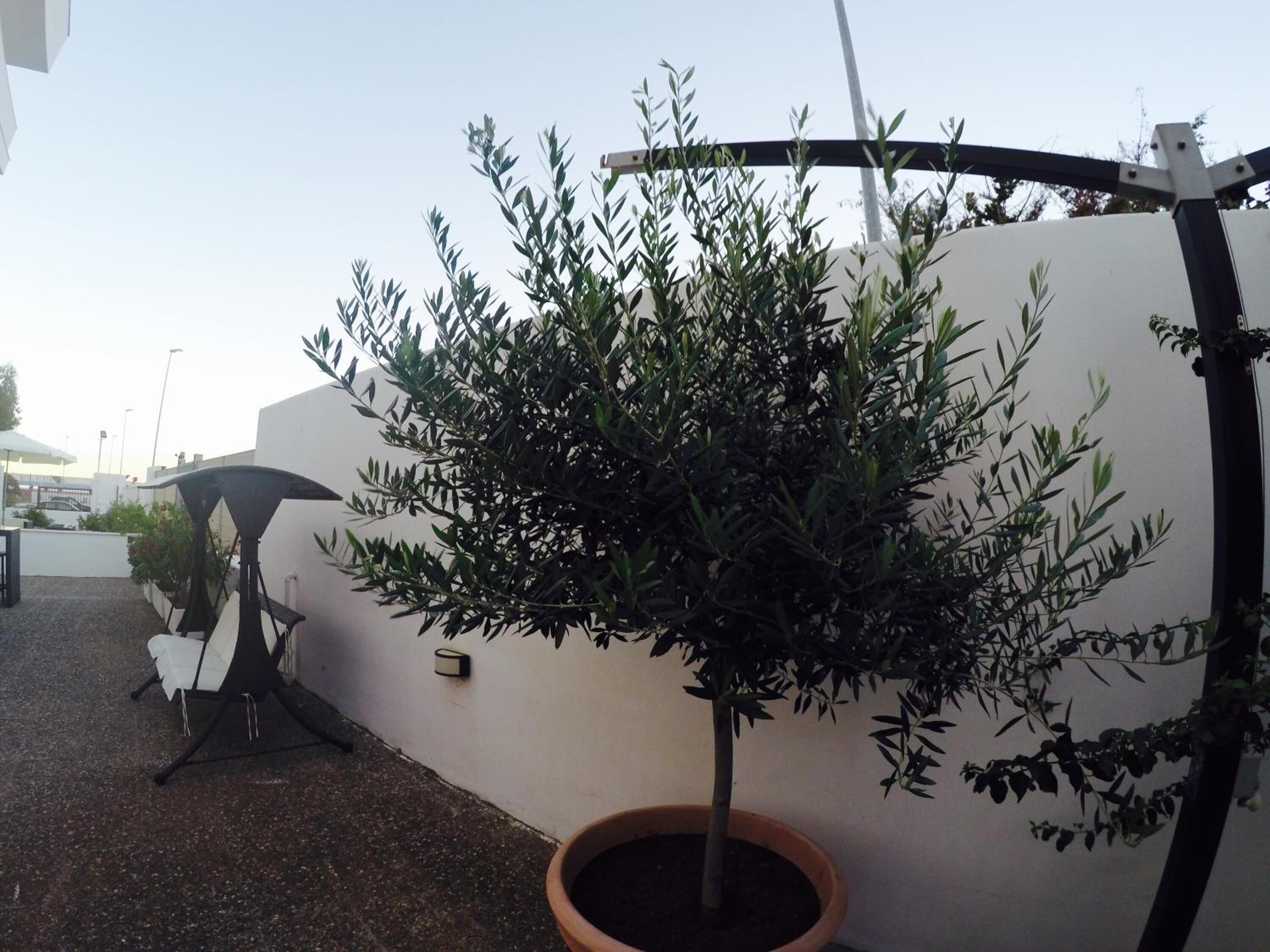 Foto - Hotel Riviera