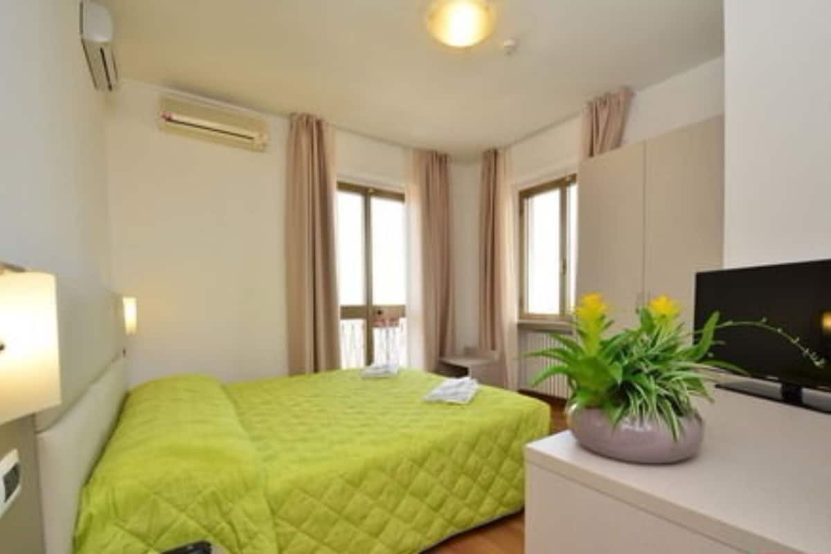 Une chambre d’hôtel avec un lit, une télévision, une plante et une fenêtre.