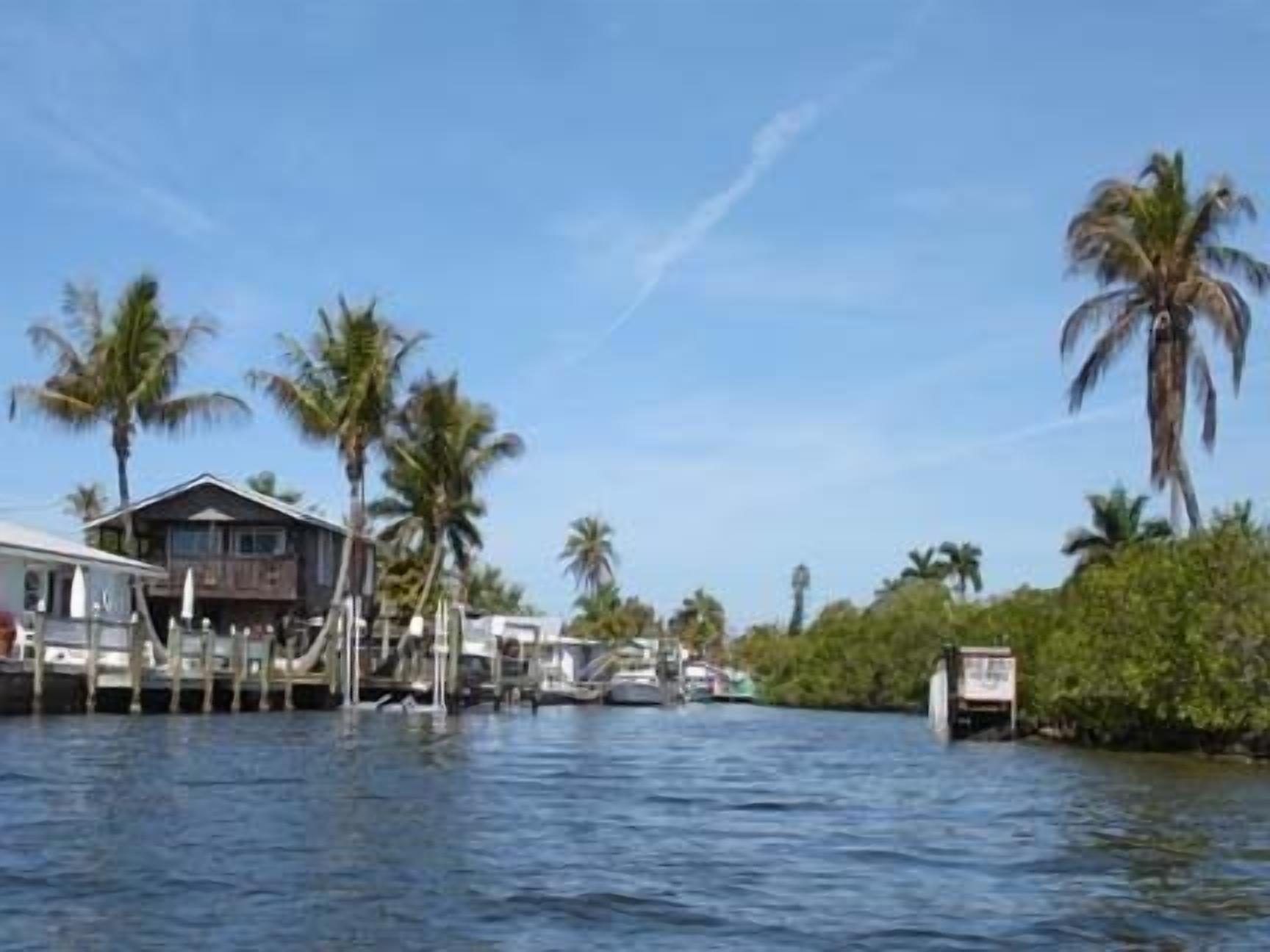 A waterfront property with a dock, a house, and palm trees.
