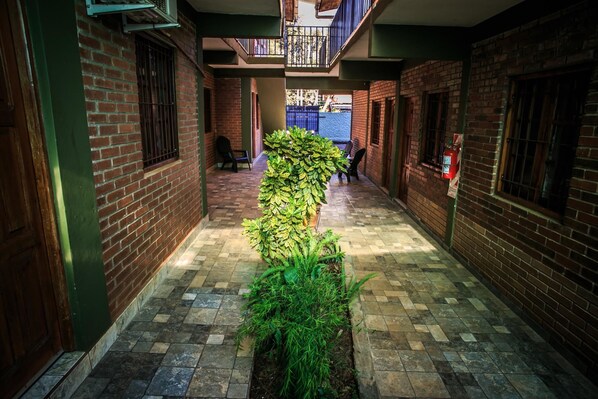 A narrow corridor with brick walls, a tiled floor, and a row of green plants in the center.