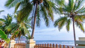 Vista a la playa con palmeras y una valla de madera.