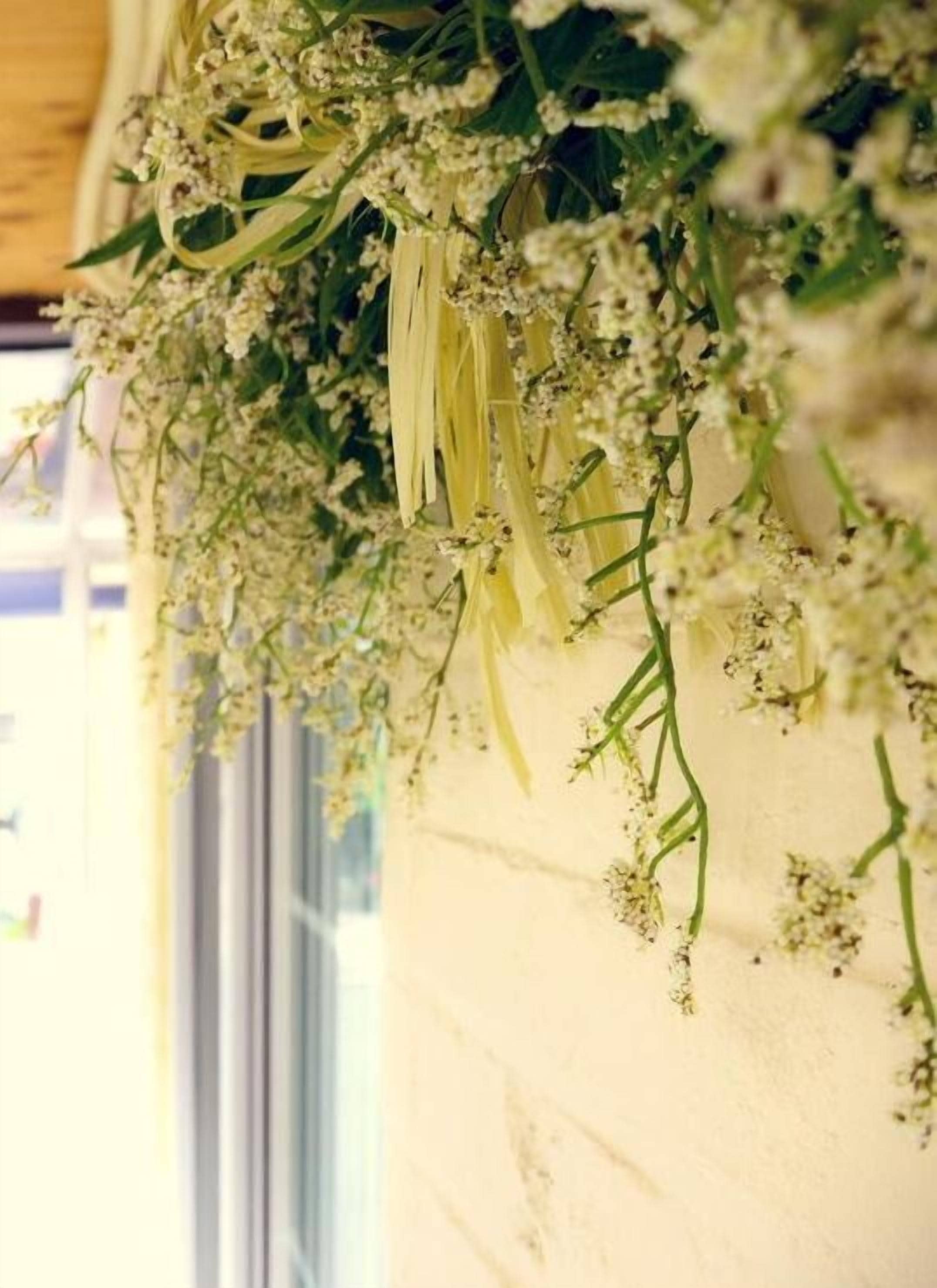 Foto - Br. Guesthouse Hongdae