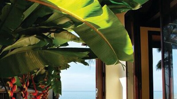 A pathway leading to a beach with a wooden structure and tropical plants. - Takolaburi Cultural Resort (Takua Pa)