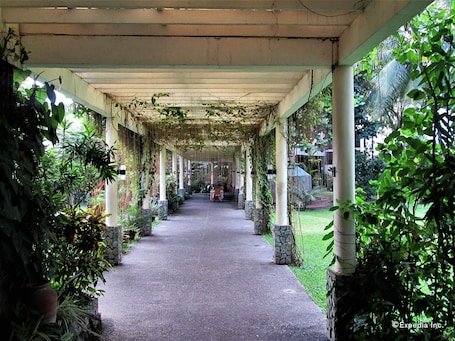 Property grounds. Chali Beach Resort and Conference Center