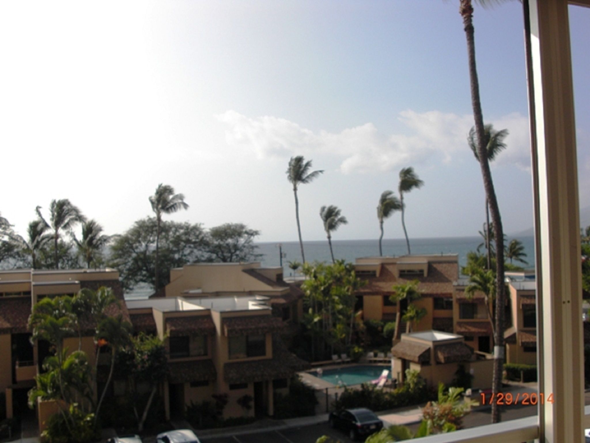 A residential area with a swimming pool, palm trees, and a view of the ocean.