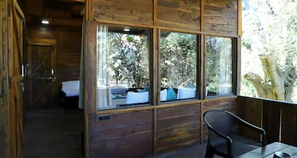 Tiger N Woods Resort