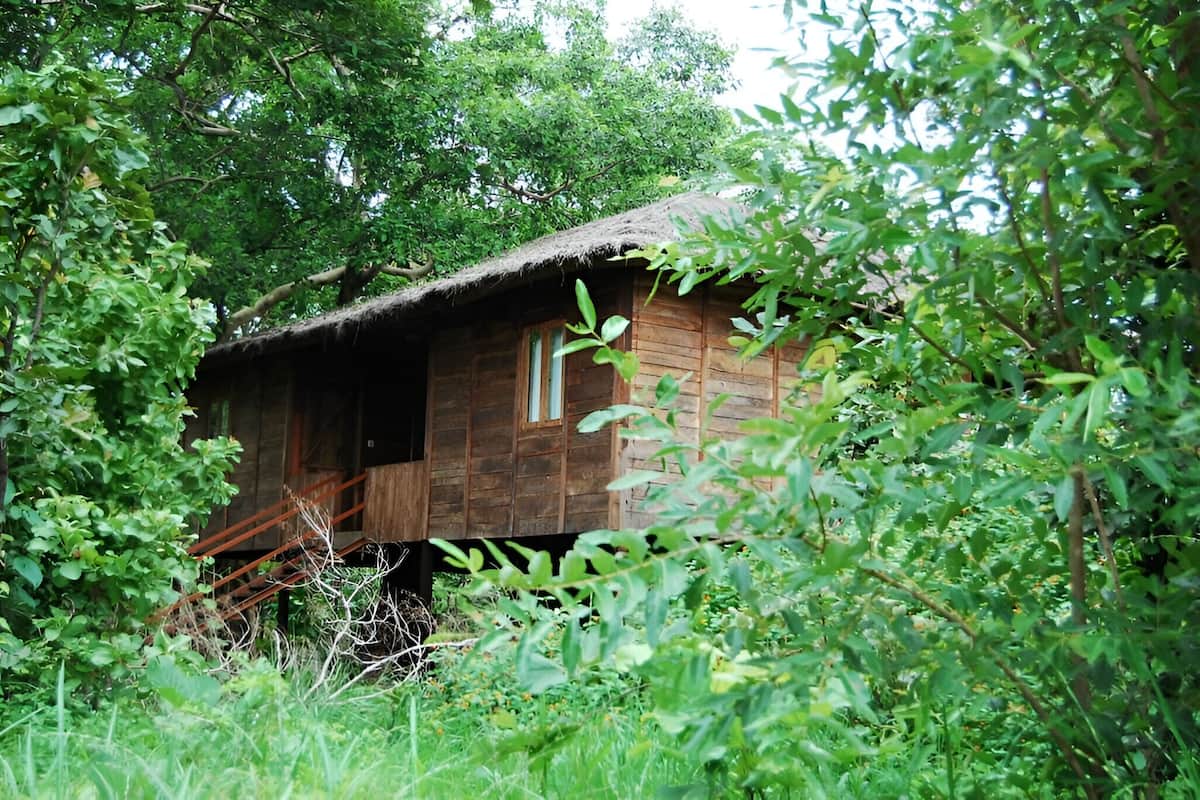 A wooden cabin surrounded by dense foliage, with a staircase leading to the entrance.