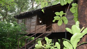 Una cabaña de madera con una escalera que lleva a un porche, rodeada de abundante vegetación.