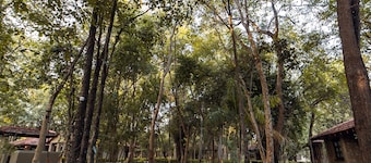 Tiger Trails Resorts