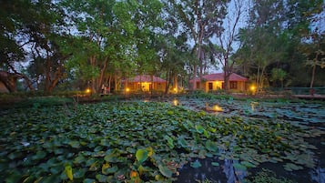 Lake view