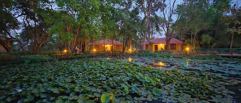 Lake view