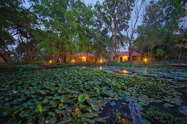 Lake view