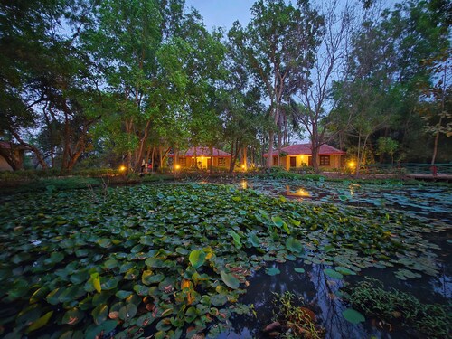 Tiger Trails Resorts