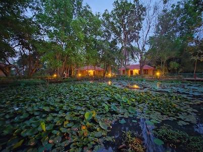 Tiger Trails Resorts