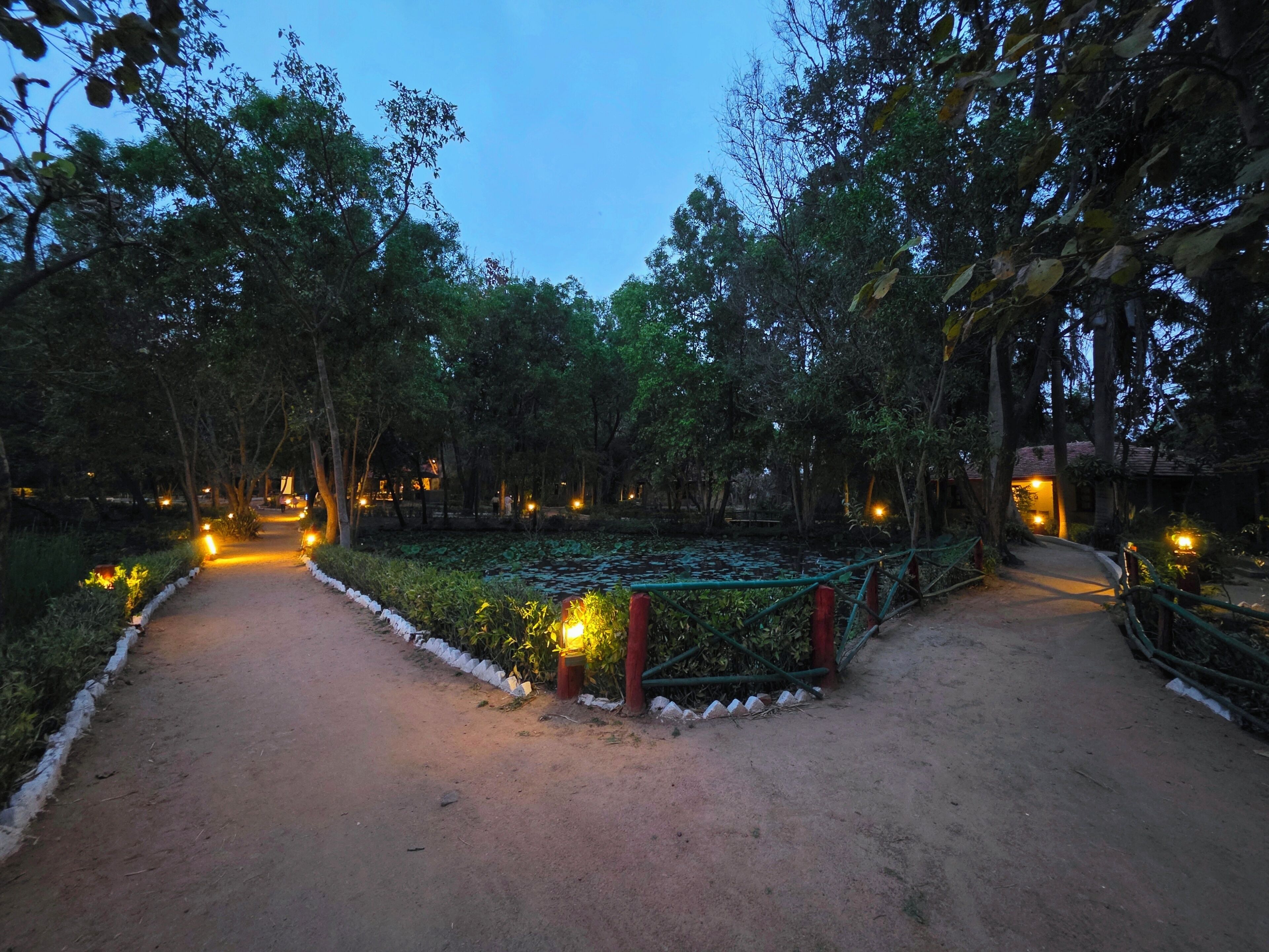 Un camí que serpenteja per un jardí amb un estany, envoltat d'arbres i il·luminat per llums.