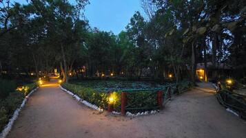 Un camí que serpenteja per un jardí amb un estany, envoltat d'arbres i il·luminat per llums.