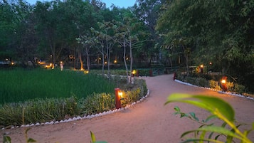 A dirt pathway flanked by greenery and illuminated by small lights, leading through a forested area.