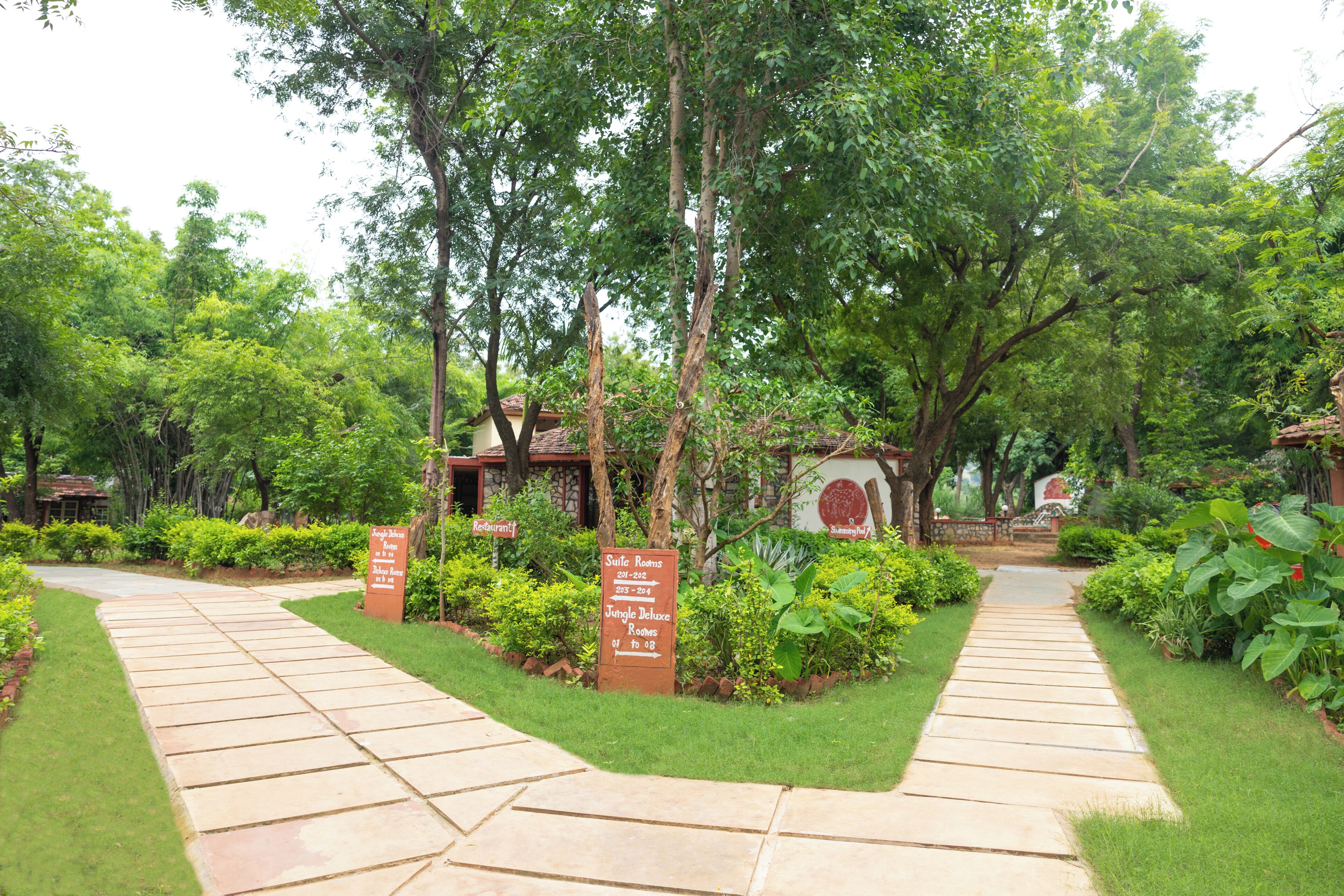 A pathway leading to a building with signs indicating 'Suite Rooms' and 'Jungle Deluxe Rooms'.