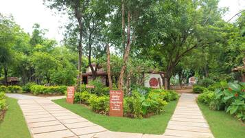 A pathway leading to a building with signs indicating 'Suite Rooms' and 'Jungle Deluxe Rooms'.