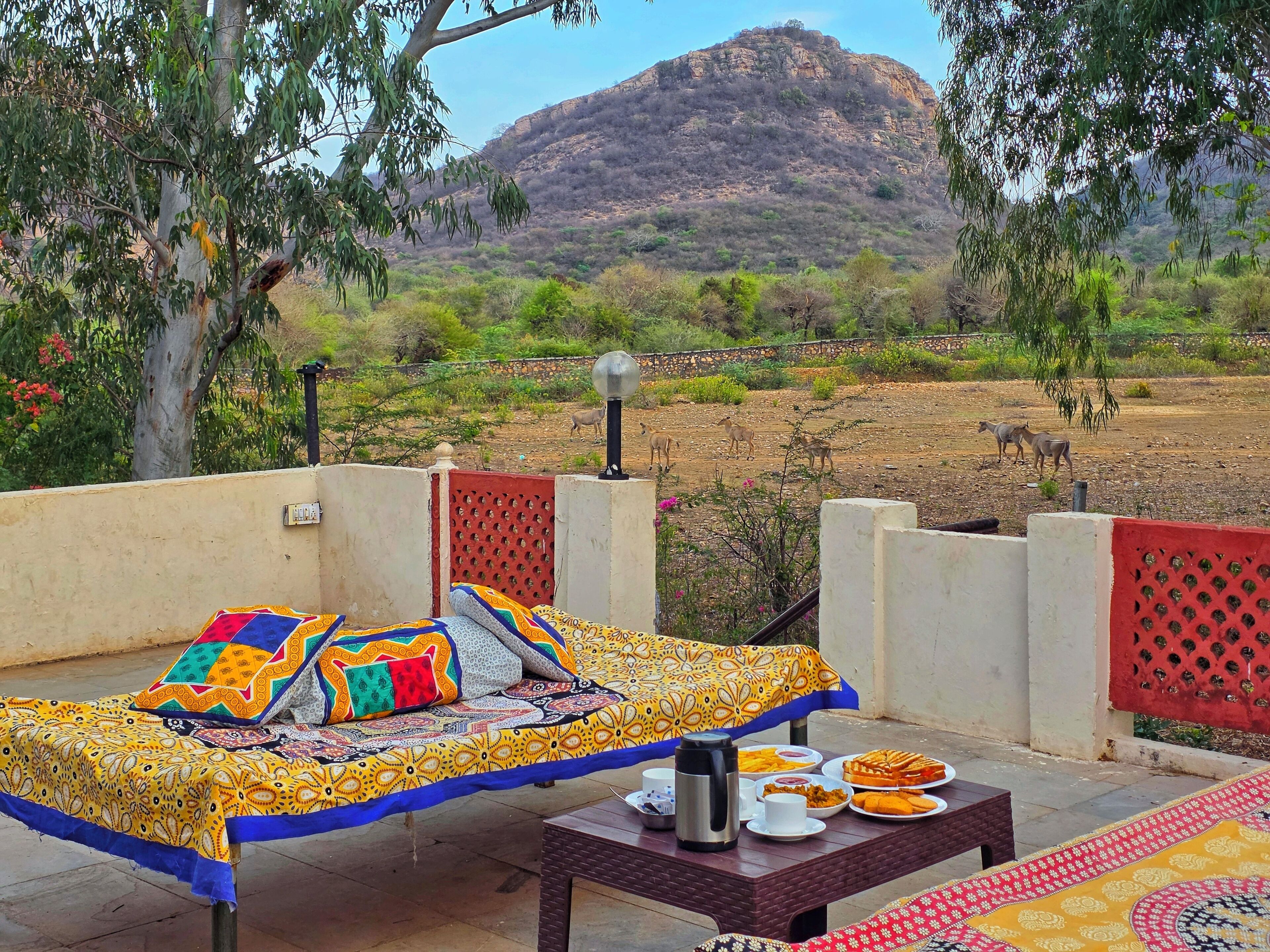 A bed with colorful bedding, a table with food and a thermos, and a view of a mountainous landscape.