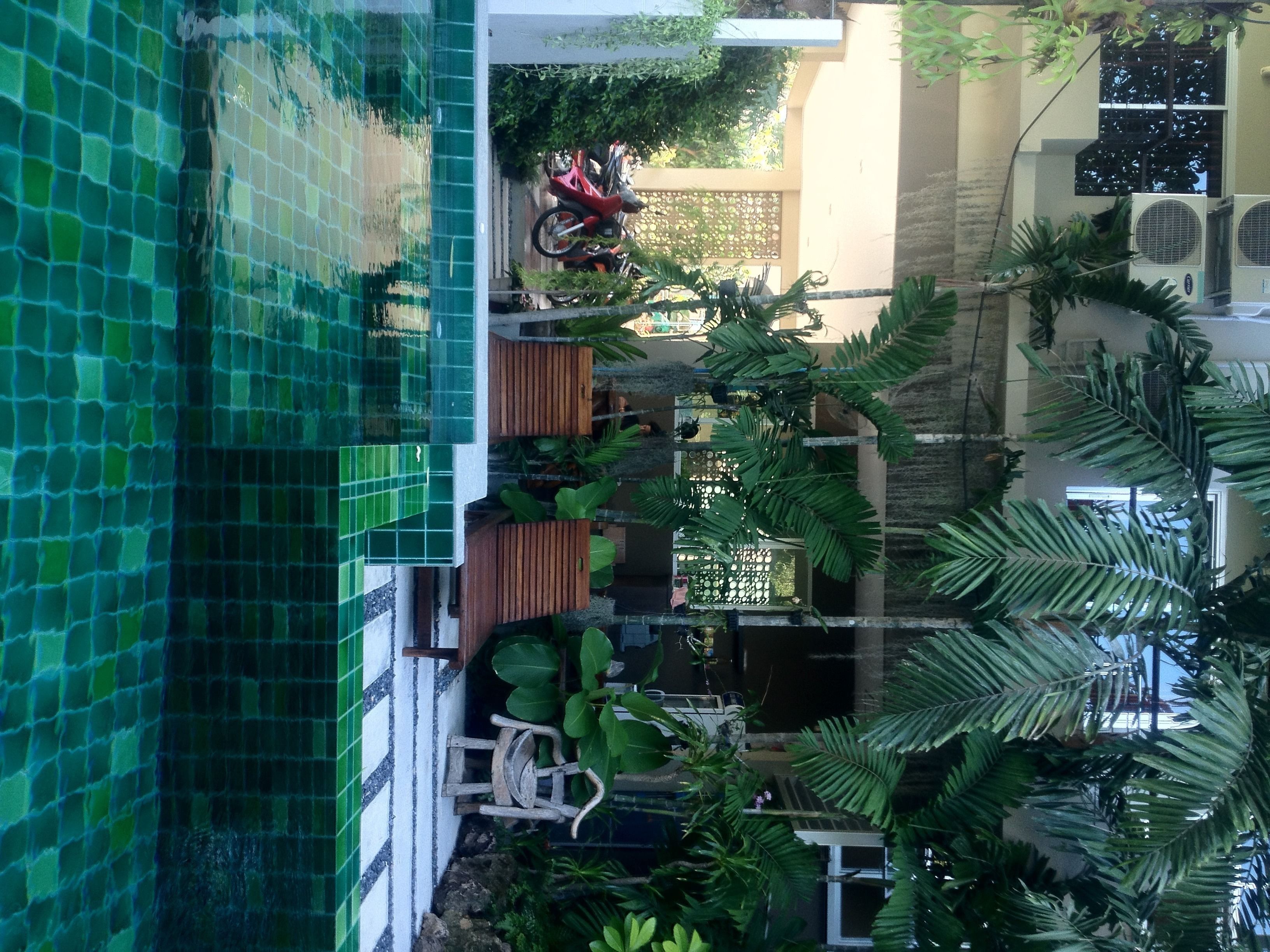 Une cour avec une piscine carrelée, des plantes en pot et un vélo.