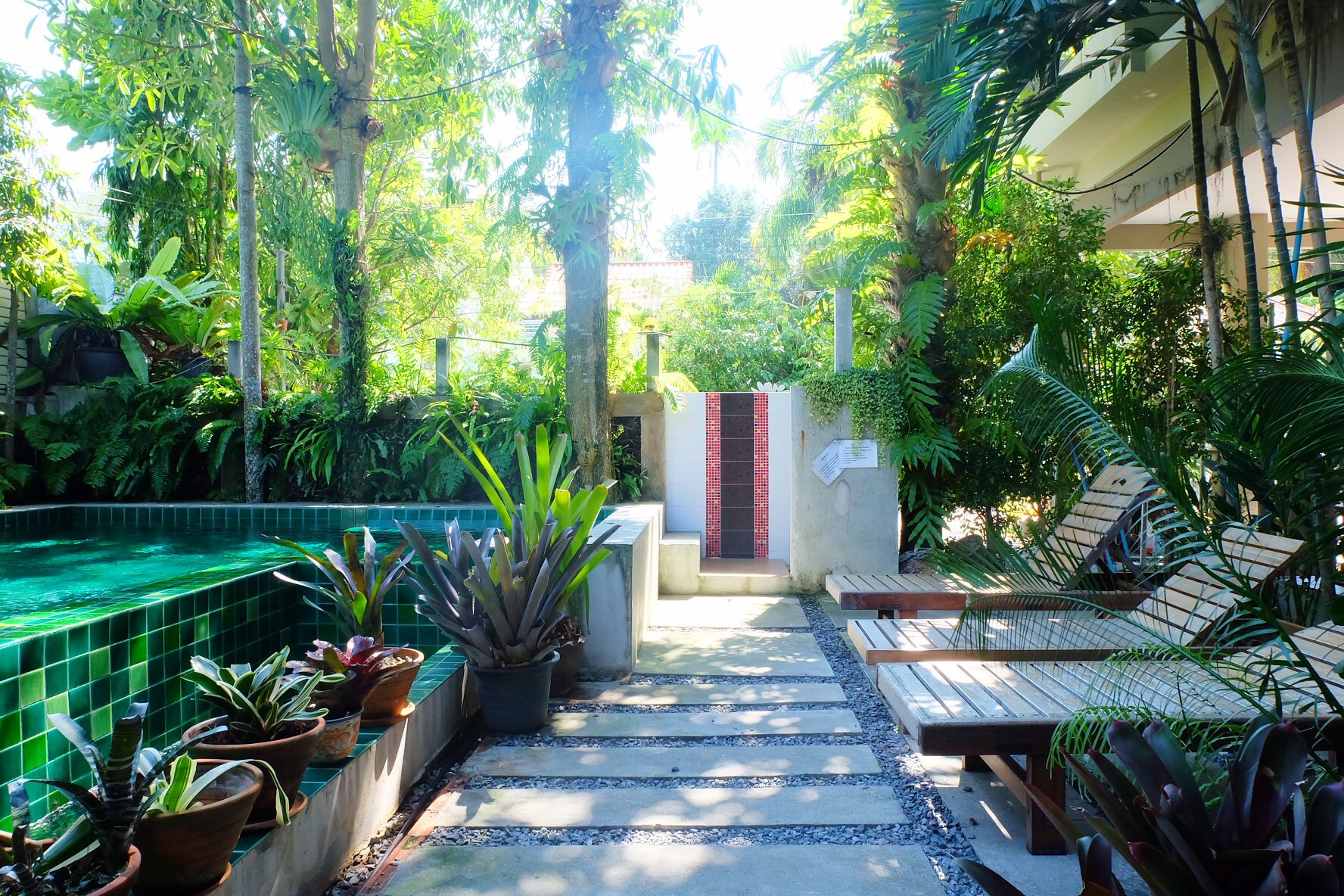 Un jardin luxuriant avec une piscine carrelée, des bancs en bois et des plantes en pot.