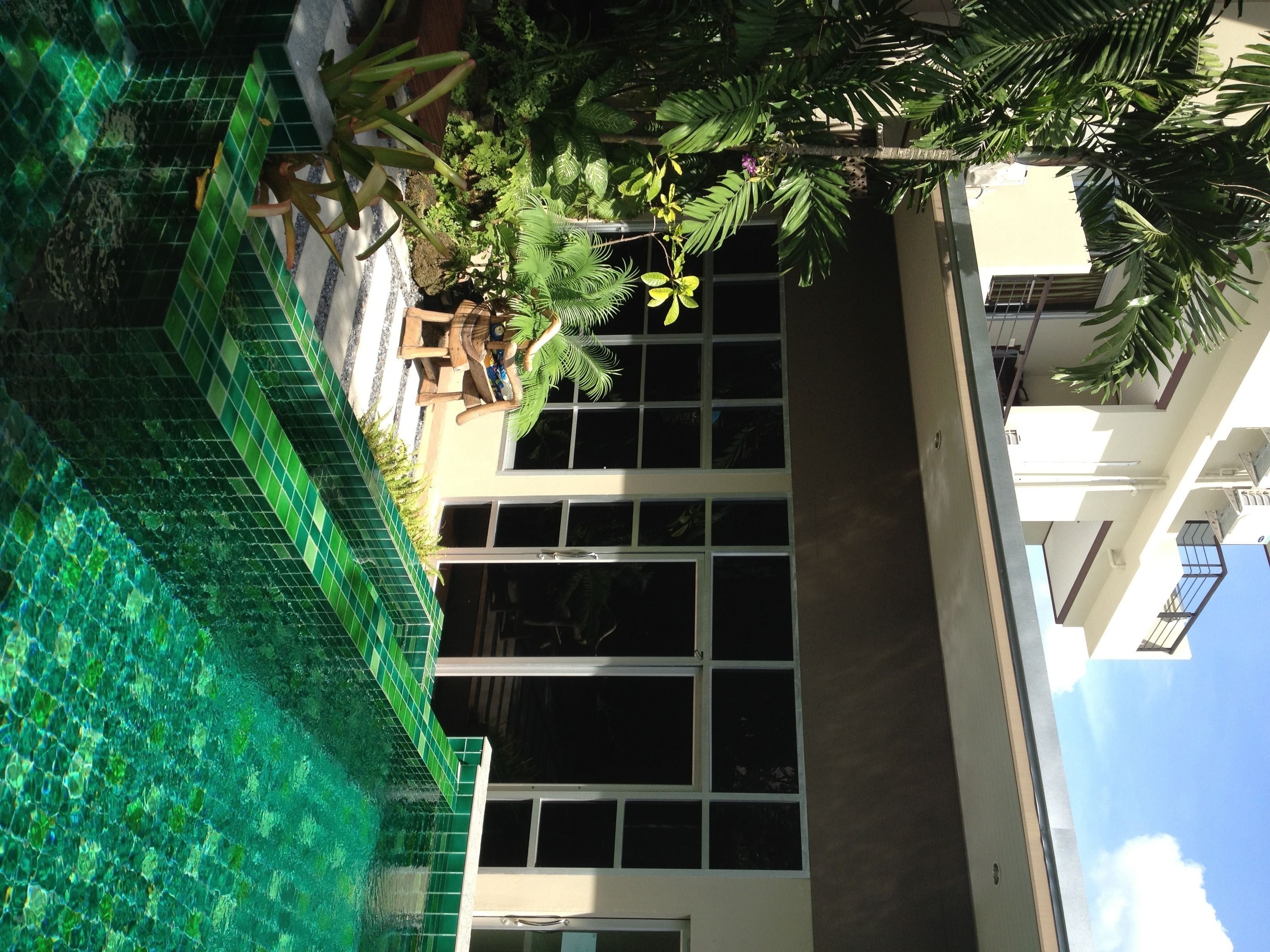 Un edificio con amplios ventanales, un área de piscina con azulejos y abundante vegetación.
