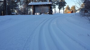 Snow and ski sports