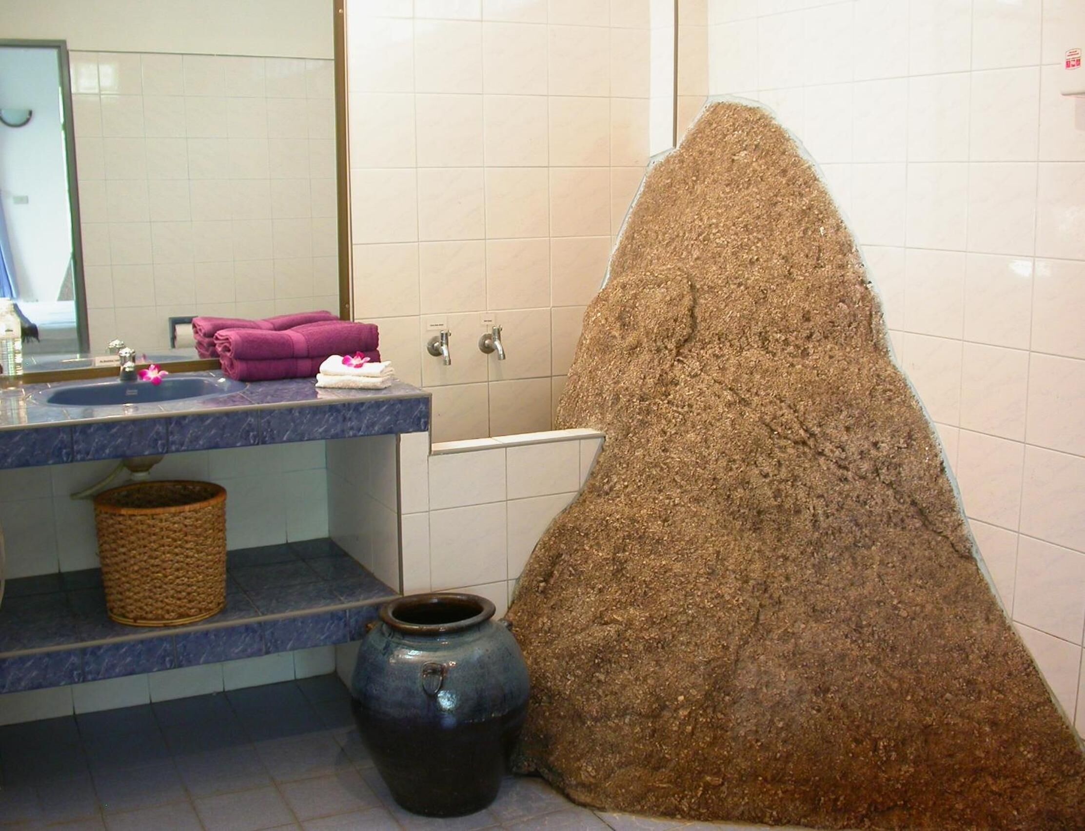 free toiletries, hair dryer, towels