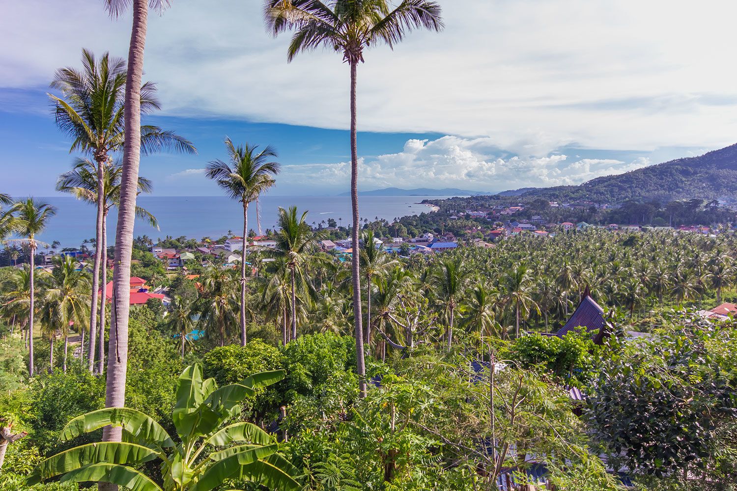 lower on the mountain one-bedroom villa | view from room