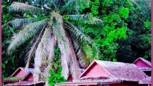 Front of property - Holiday Resort Ko Yao (Ko Yao)