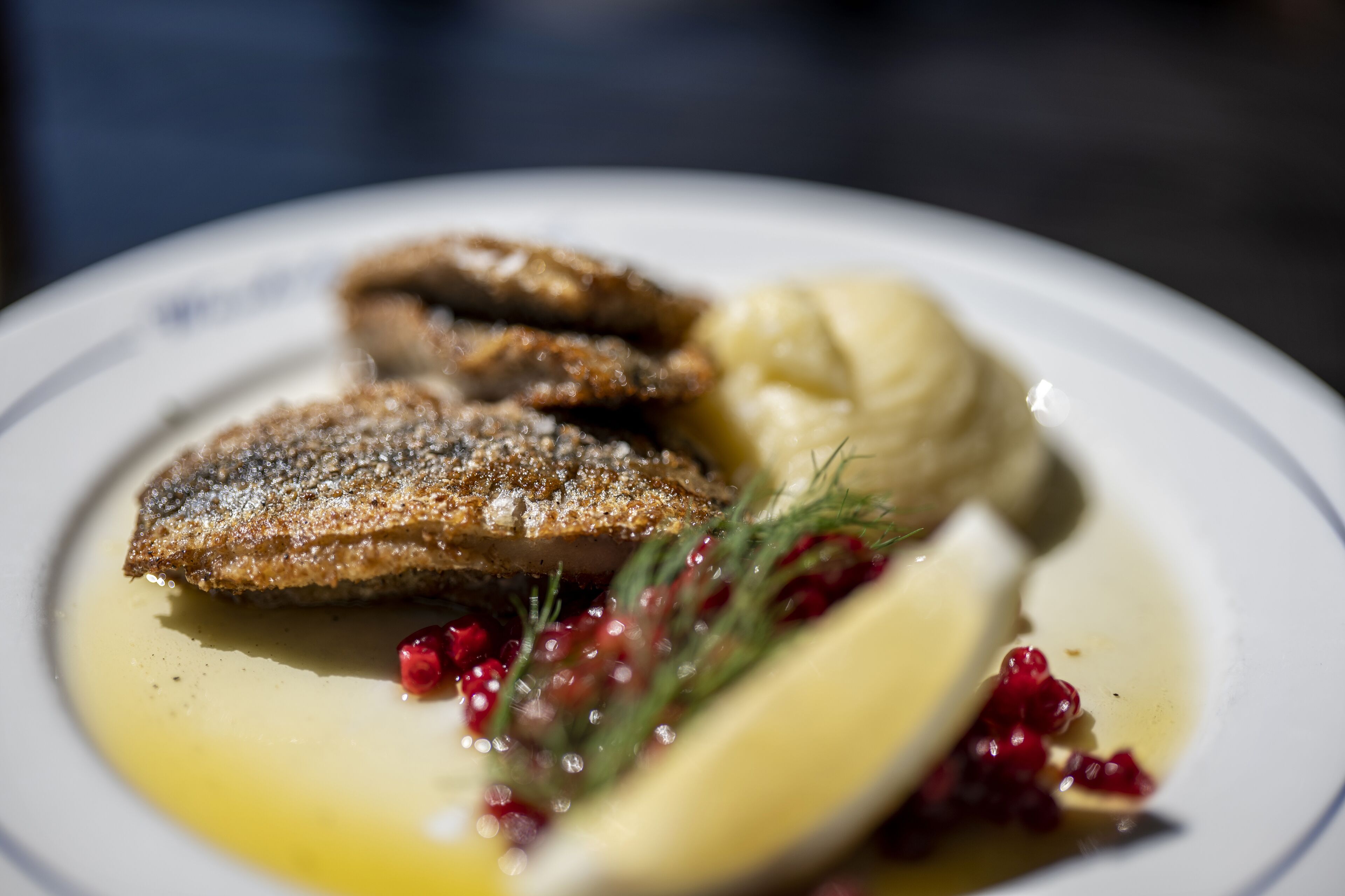 Une assiette avec un morceau de poisson, une boule de glace et quelques baies.