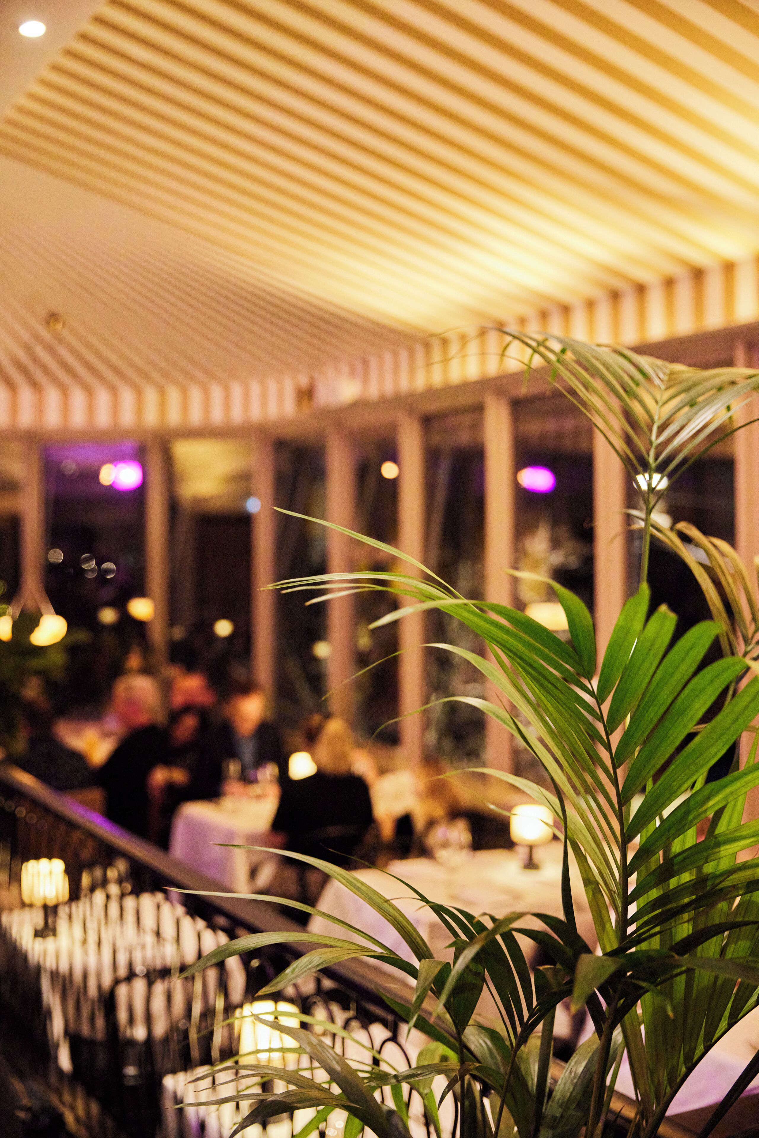 breakfast, lunch, dinner served; seafood, sea views