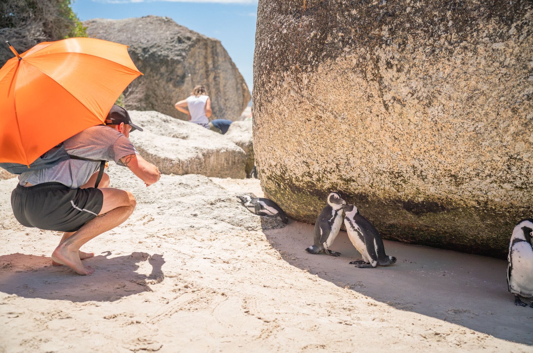 Photo - Never at Home Green Point