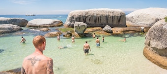 never at home Green Point