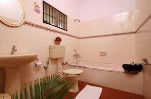 Shower, free toiletries, hair dryer