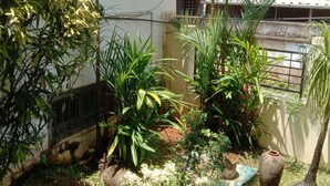 A garden with various plants and a small decorative pot. - Orion Sky Wings (Kochi)