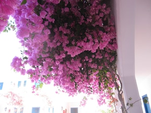 Exterior detail - Boutique Hotel Tilos Mare (Tilos)
