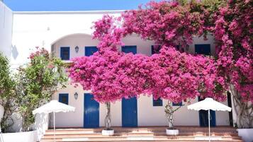 Vista frontal de la propiedad