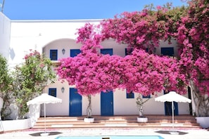 Front of property - Boutique Hotel Tilos Mare (Tilos)