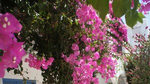 A building with a blue door, steps leading to a covered area, and potted plants. - Boutique Hotel Tilos Mare (Tilos)