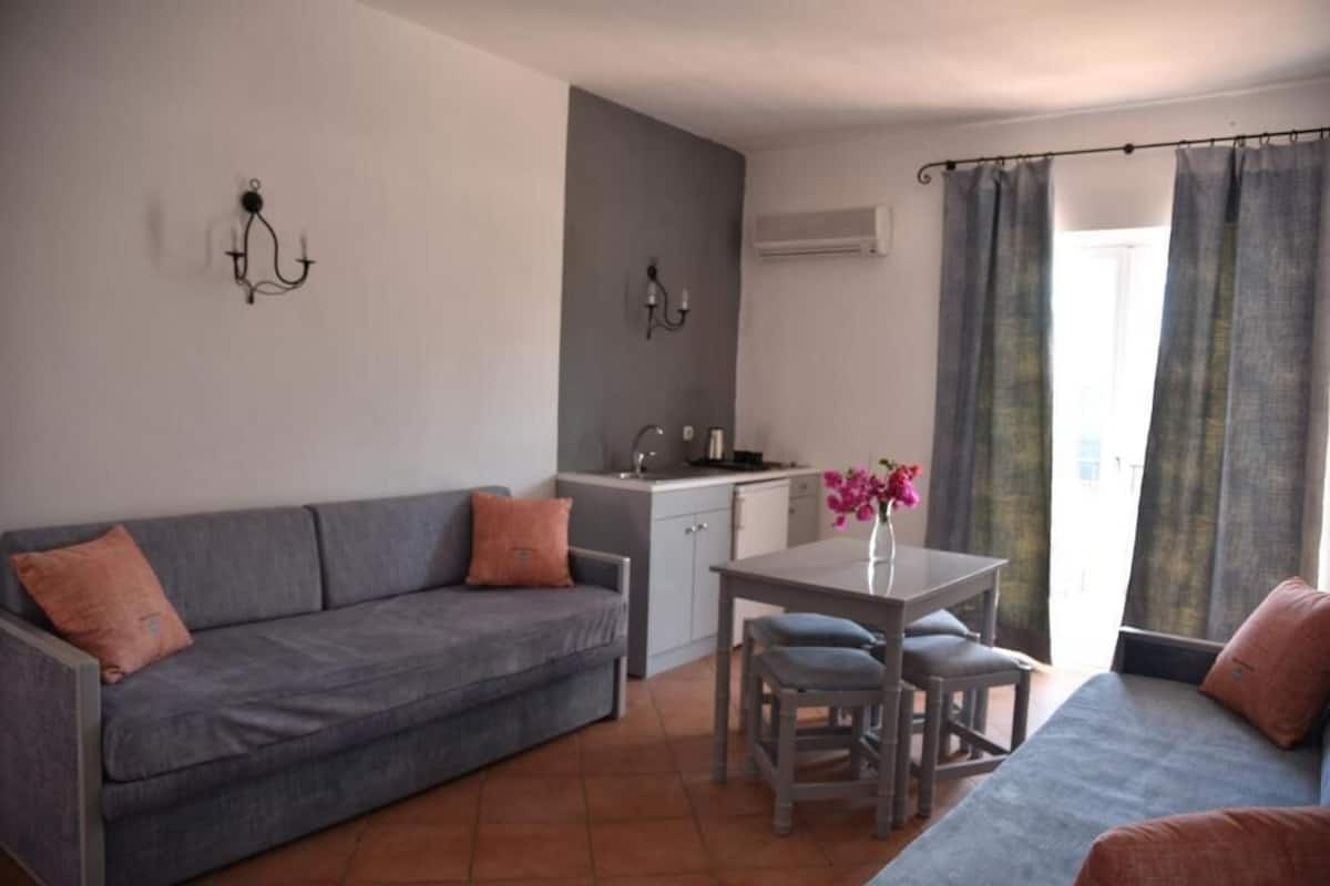Un espace de vie compact comprenant un canapé gris, une petite table à manger avec deux chaises, un coin cuisine et une fenêtre avec des rideaux.
