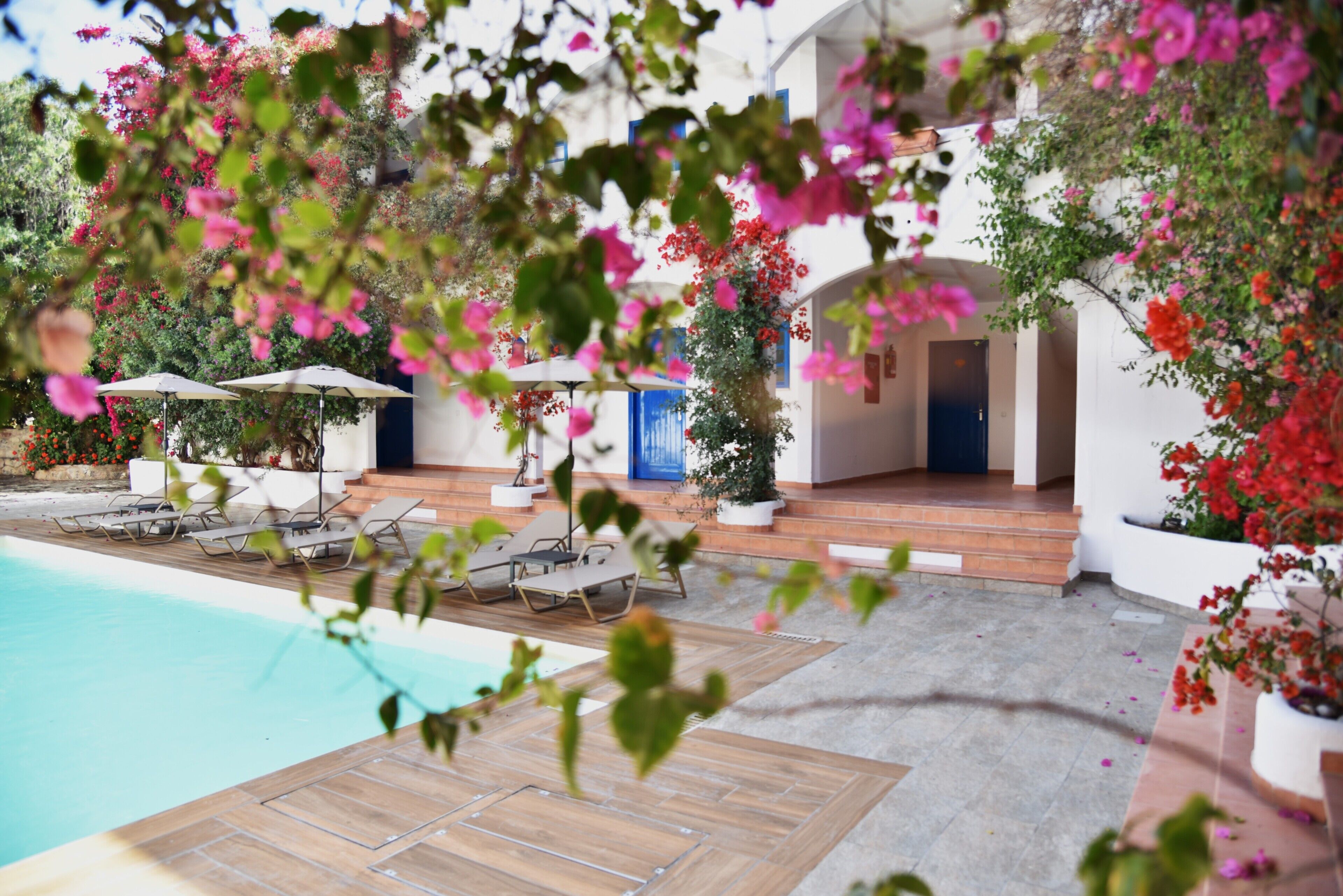 A pool area with lounge chairs and umbrellas, surrounded by potted plants and flowers.