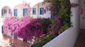 A white building with blue doors and windows, covered in pink bougainvillea vines. - Boutique Hotel Tilos Mare (Tilos)