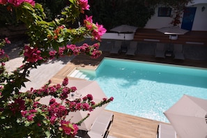 Outdoor pool, a rooftop pool, pool umbrellas, pool loungers - Boutique Hotel Tilos Mare (Tilos)