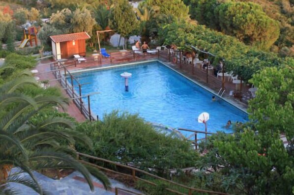 Una piscina rectangular con una pequeña zona de terraza, rodeada de abundante follaje y árboles.