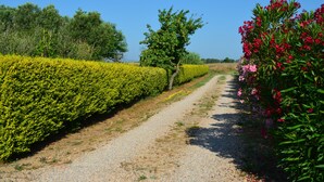 A gravel path flanked by neatly trimmed hedges and flowering plants. - Agrialbergo Capalbio La Sugherella (Capalbio)