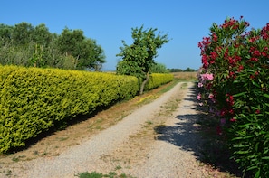 Exterior - Agrialbergo Capalbio La Sugherella (Capalbio)