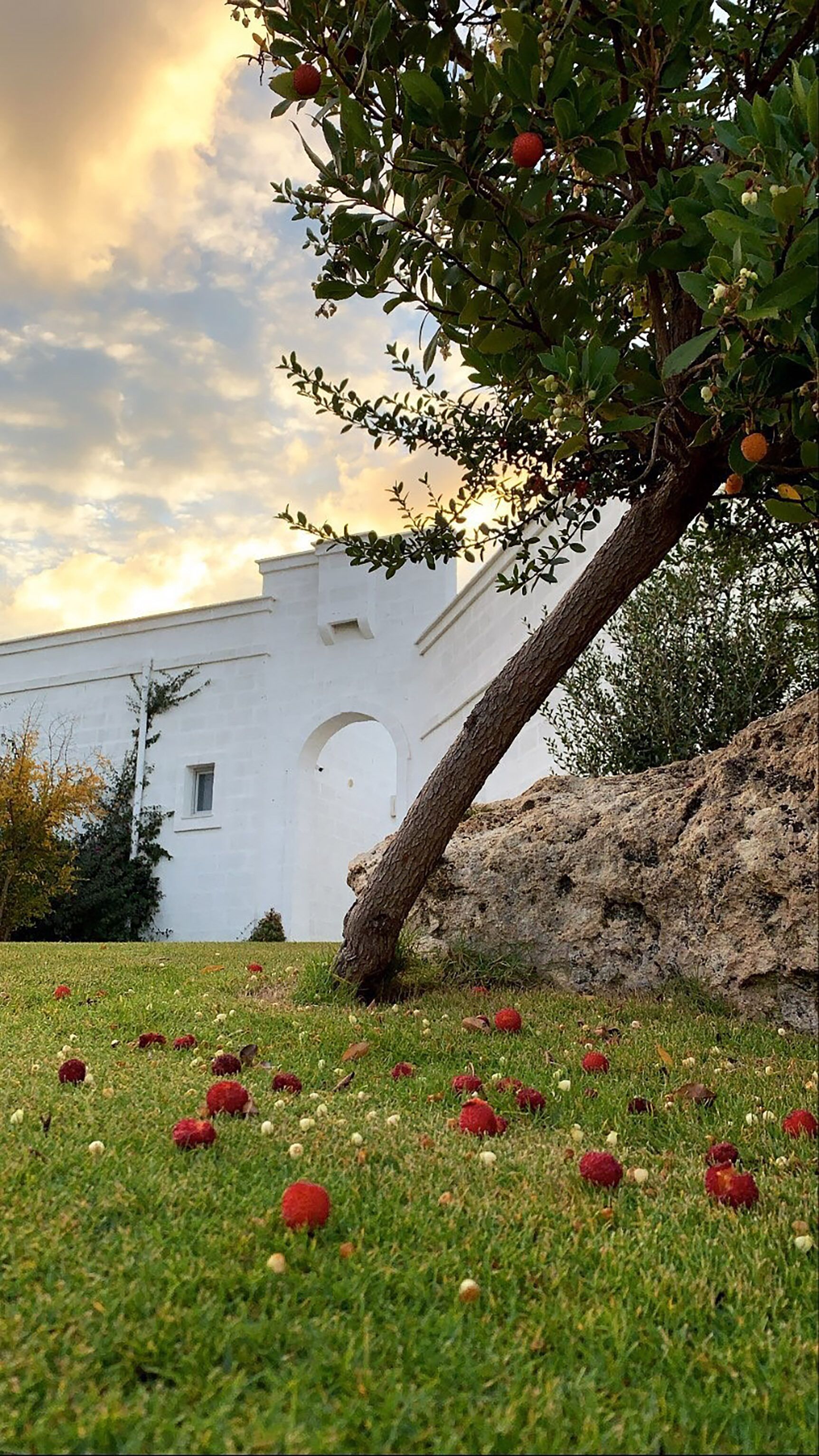 A building with a white facade and arched windows, surrounded by a grassy area with scattered red fruits.