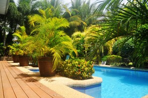 Zona de piscina con plantas en macetas y una terraza de madera.